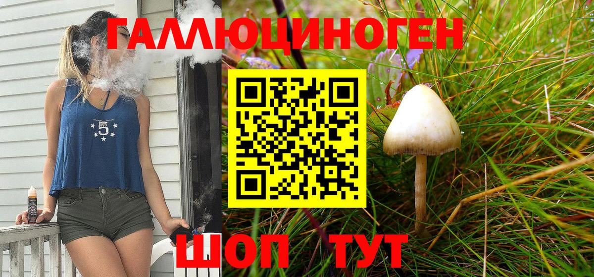 Псилоцибиновые грибы мицелий Всеволожск